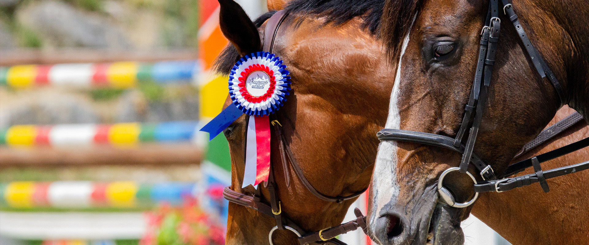 REIT- UND SPRINGTURNIER